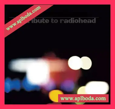 [PRO-1预置氛围驰放]SHLD Music Right Place Analog Keys Tribute To Radiohead（32Mb）
