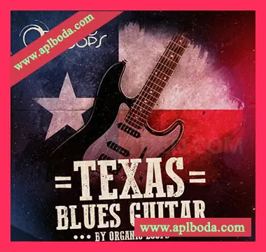 [乡村爵士布鲁斯吉他素材]Organic Loops Texas Blues Guitars [WAV, REX]（883Mb）
