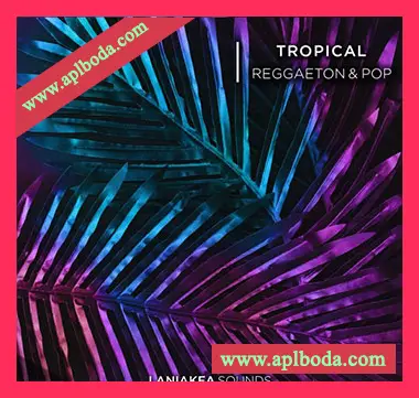 [热带休闲流行拉丁舞曲采样]Laniakea Sounds Tropical Reggaeton And Pop [WAV]（594Mb）