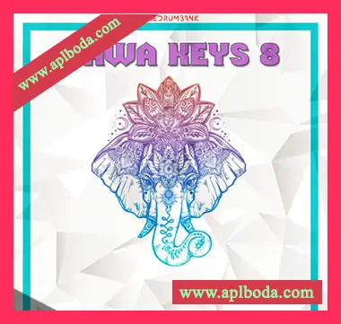 [民族乐器采样]Dynasty Loops Bawa Keys 8 [WAV]（30Mb）