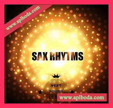 [深邃浩室素材]Next Sound Loops Sax Rhythm [WAV, MiDi]（299Mb）