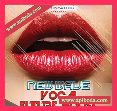 [未来浩室人声素材Spire预置Serum预置Massive预置Avenger预置]Mainroom Warehouse New Wave Vocal Future House [多格式]（982Mb）