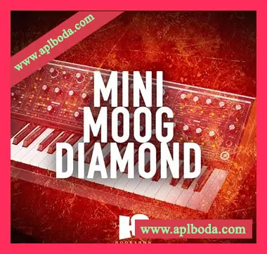 [灵魂RnB采样]HOOKSHOW Mini Moog Diamond [WAV]（119Mb）