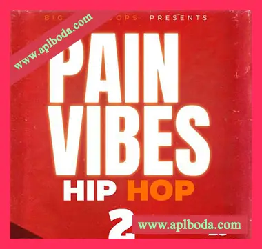 [嘻哈说唱采样]Big Citi Loops Pain Vibes Hip Hop 2 [WAV]（53Mb）
