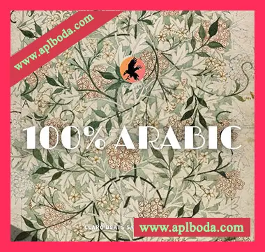 [阿拉伯民族采样]WAVS Claro Beats 100% Arabic [WAV]（113Mb）
