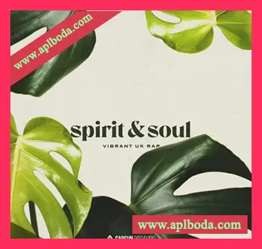 [流行嘻哈RnB采样]Capsun ProAudio Spirit and Soul Vibrant UK Hip Hop [WAV]（336Mb）