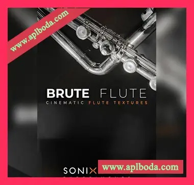 [影视低音长笛音源]Sonixinema Brute Flute [KONTAKT]（2.87Gb）