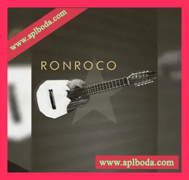 [南美传统乐器Ronroco音源]Cinematique Instruments Ronroco v2 [KONTAKT]（177Mb）