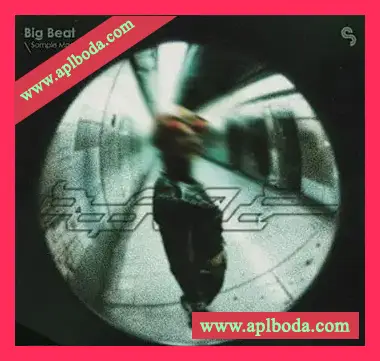 [Breaks素材Serum预置]Sample Magic Big Beat [WAV, MiDi]（378Mb）