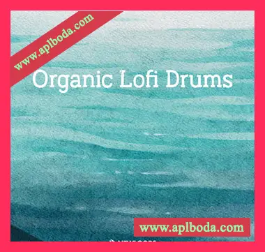 [低保真电子乐鼓组采样]New Loops Organic Lofi Drums [WAV]（471Mb）