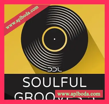 [灵魂RnB素材]Deep Data Loops Soulful Grooves 5 [WAV, MiDi]（236Mb）