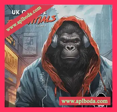 [浩室采样]Vanilla Groove Studios UK Garage Essentials Vol 1 [WAV]（207Mb）