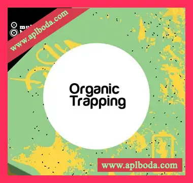 [嘻哈陷阱采样]Multiton Bits Organic Trapping [WAV]（50Mb）