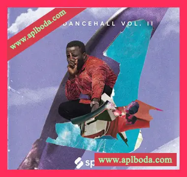 [非洲节奏采样]Splice Sessions Afro Dancehall Vol.2 [WAV]（714Mb）