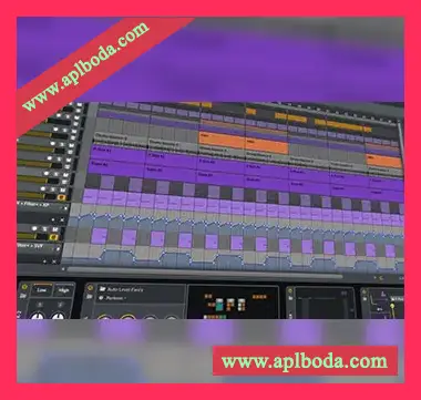 [Bitwig模板鼓打贝斯]Polarity Music Quick and Dirty Drum and Bass（5Mb）