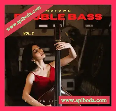 [原声贝斯低音提琴音源]PastToFutureReverbs Motown Double Bass Vol.2! [KONTAKT]（246Mb）