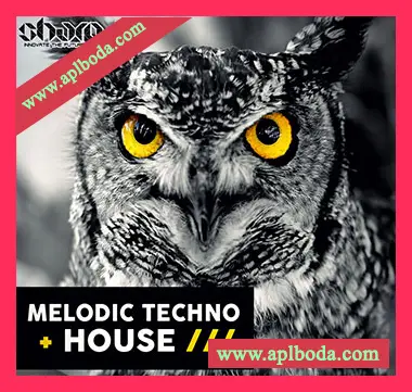 [科技浩室素材]SHARP Melodic Techno and House [WAV, MiDi]（213Mb）