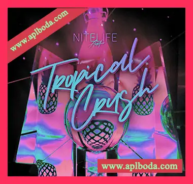 [氛围深邃浩室采样]NITELIFE Audio Tropical Crush [WAV]（518Mb）