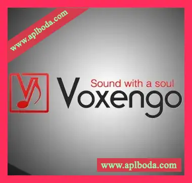 [Voxengo效果器插件包]Voxengo Plugins Bundle 2019.5 CE [WiN]（101Mb）