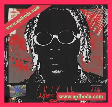 [嘻哈说唱采样]ProducerGrind Whole Lotta Loops Sample Pack [WAV]（1.07Gb）