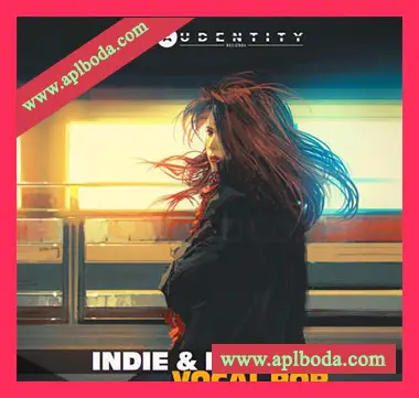 [电子流行人声采样]Audentity Records Indie Electro and Vocal Pop [WAV]（482Mb）