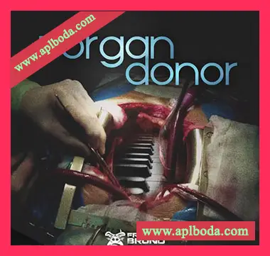 [嘻哈陷阱采样]Freddie Bruno Organ Donor [WAV]（127Mb）