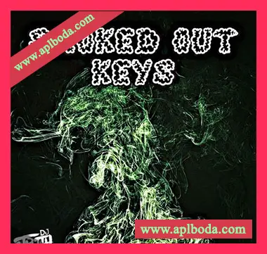 [嘻哈RnB采样]DJ 1Truth Smoked Out Keys [WAV]（29Mb）