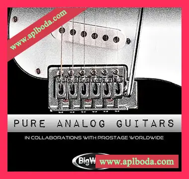 [吉他贝斯音源]BigWerks Pure Analog Guitars [KONTAKT]（4.09Gb）