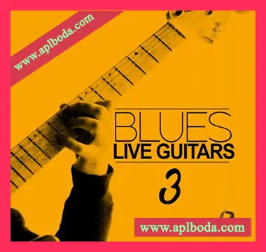 [爵士布鲁斯现场吉他采样]Luigi Production Blues Live Guitars 3 [WAV]（191Mb）