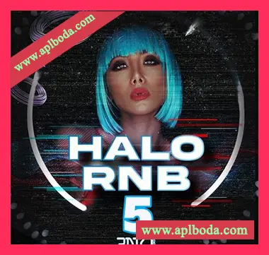 [嘻哈RnB采样]3 Digi Audio HALO RnB 5 [WAV]（15Mb）