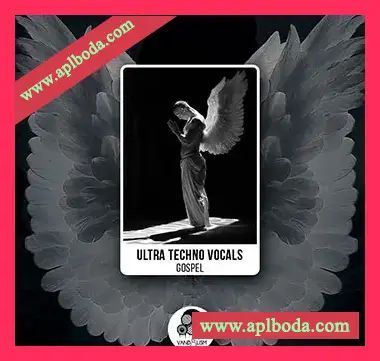 [泰克诺舞曲人声采样]Vandalism Ultra Techno Vocals Gospel [WAV]（332Mb）