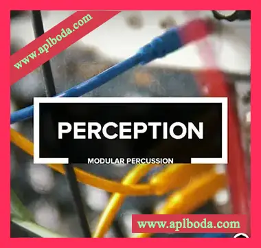[电子乐采样]Audiotent Perception [WAV]（358Mb）