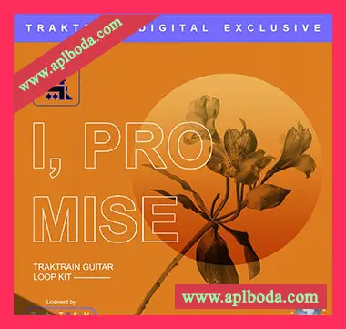 [嘻哈陷阱摇滚爵士采样]TrakTrain I, promise [WAV]（248Mb）