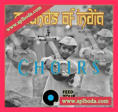 [印度古典乐人声短语采样]Feed Your Soul Music Choirs Sounds Of India [WAV]（202Mb）