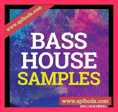 [贝斯浩室电子舞曲素材Serum预置]Big Sounds Bass House Samples [WAV, MiDi]（406Mb）