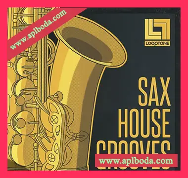 [浩室萨克斯采样]Looptone Sax House Grooves [WAV]（443Mb）