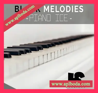 [灵魂RnB钢琴采样]HOOKSHOW Black Melodies Piano Ice [WAV]（85Mb）
