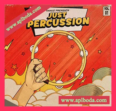 [打击乐采样]Tamuz Just Percussion Vol.1 [WAV]（190Mb）