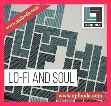 [低保真灵魂RnB采样]Looptone Lo-Fi And Soul [WAV]（481Mb）