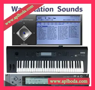 [合成器]KORG WAVESTATION v1.7.2 HAPPY NEW YEAR-R2R（17Mb）