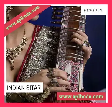 [印度西塔尔采样]Concept Samples Indian Sitar [WAV]（401Mb）