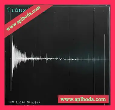 [回响重拍浩室采样Vital预置]Eric Bowman Transients Sample Pack（16Mb）