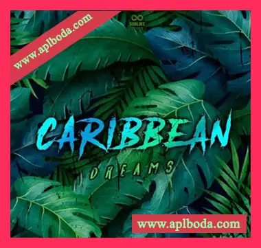 [氛围陷阱热带雷击顿采样]Oneway Audio Caribean Dreams Vol.2 [WAV]（106Mb）