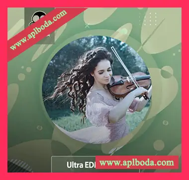 [电子舞曲弦乐小提琴采样]Vandalism Ultra EDM Violins [WAV]（212Mb）