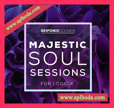 [Logic模板工程RnB]Skifonix Sounds Majestic Soul Sessions(1.07Gb)