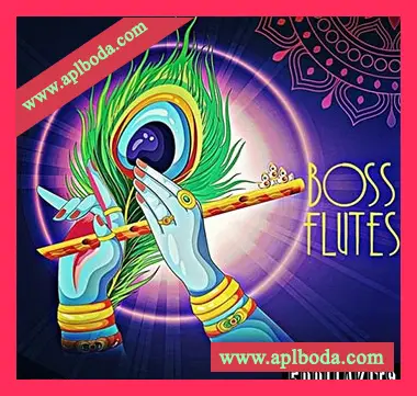 [嘻哈陷阱长笛LOOP采样]5DOLLAKITS Boss Flutes [WAV]（50Mb）