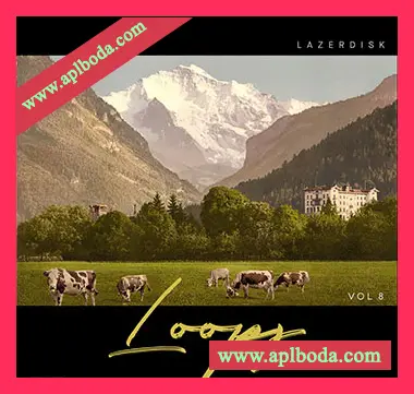[嘻哈RnB采样]Lazerdisk Loops Vol.8 [WAV]（167Mb）