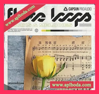 [嘻哈长笛旋律音色LOOP]Capsun ProAudio Flute Loops Stacks and Melodies [WAV]（368Mb）