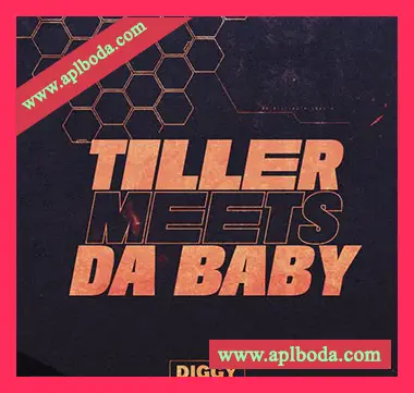[嘻哈陷阱RnB采样]Diggy Loops Tiller Meets Da Baby [WAV]（88Mb）