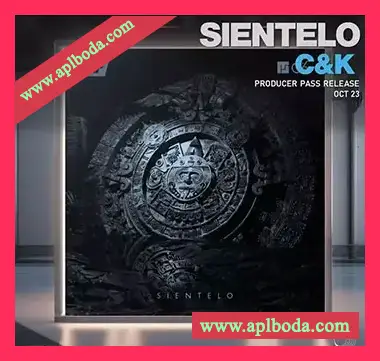 [鼓打贝斯素材Serum预置]Surgical Sounds Sientelo Recreation Kit [WAV, MiDi]（5Mb）